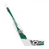 InGlasco Plastic Goalie Mini-Stick - Dallas Stars