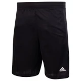 Adidas Clima Tech Men's Shorts