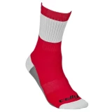 Detroit Red Wings Tour Team Celly Socks