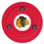 Chicago Blackhawks Green Biscuit Training Puck