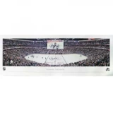 Frameworth Colorado Avalanche Panoramic Picture