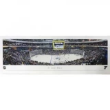 Frameworth St. Louis Blues Panoramic Picture